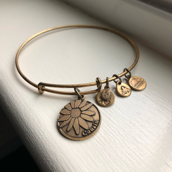 Alex and Ani Jewelry - NWOT Alex and Ani Gold “Cousin” Bracelet